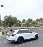 IMG_2569.jpeg